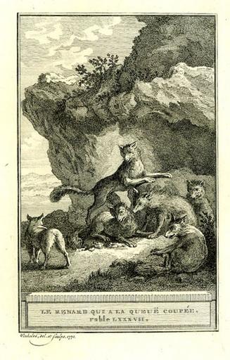 Le renard qui a la queue coupée, V, 5