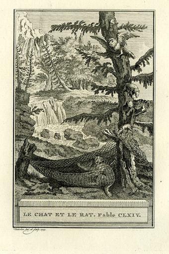 Le faucon et le chapon, VIII, 21