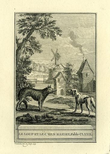 Le loup et le chien maigre, IX, 10