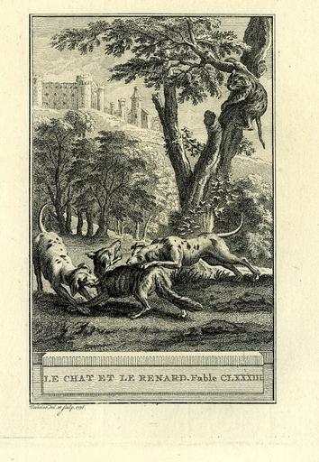 Le chat et le renard, IX, 14