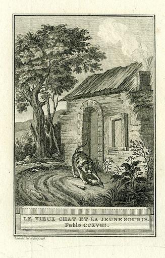 Le vieux chat et la jeune souris, XII, 5