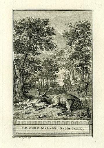 Le cerf malade, XII, 6