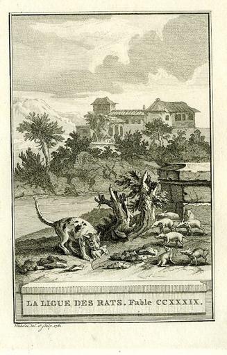 La ligue des rats, XII