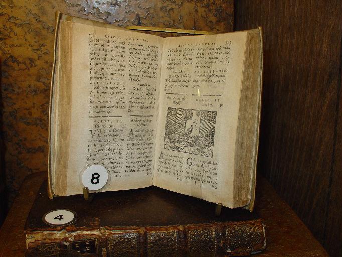 Aesopi Phrygis fabulae (Elegantissimis iconibus veras animalium species advivum adumbrantibus)