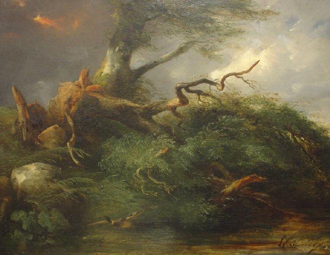 Le Chêne et le Roseau, I, 22