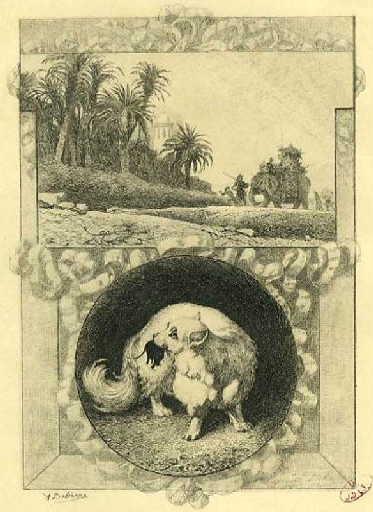 Le Rat et l'Eléphant, VIII, 15