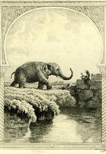 L'Eléphant et le Singe de Jupiter, XII, 21