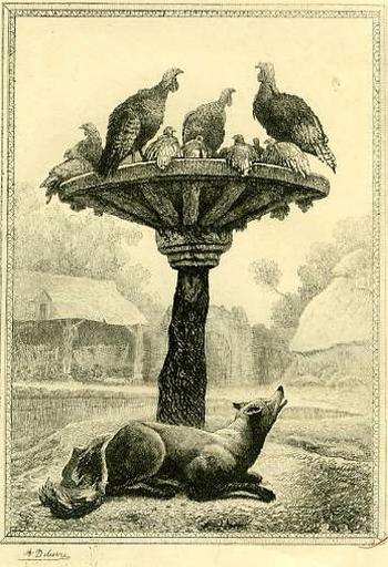 Le Renard et les Poulets d'Inde, XII, 18
