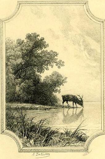 Le Cerf se voyant dans l'Eau, VI, 9