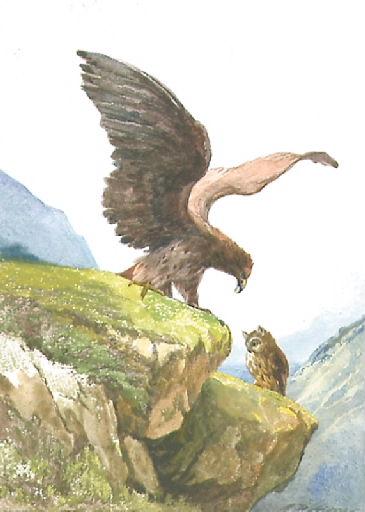 L'Aigle et le Hibou, V, 18