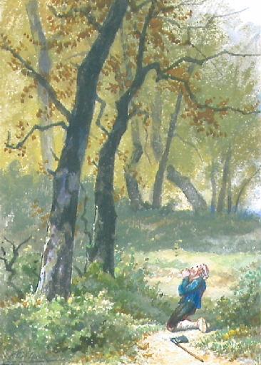 La Forêt et le Bûcheron, XII, 16