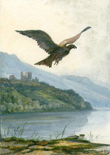 L'Aigle et l'Escarbot, II, 8