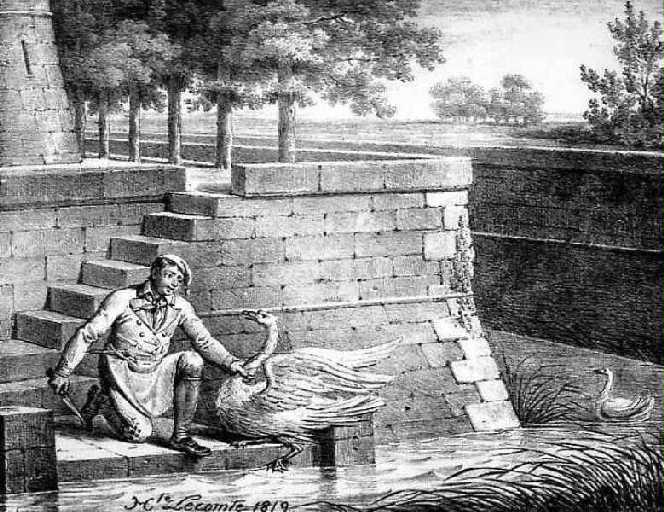 Le Cygne et le Cuisinier, III, 12