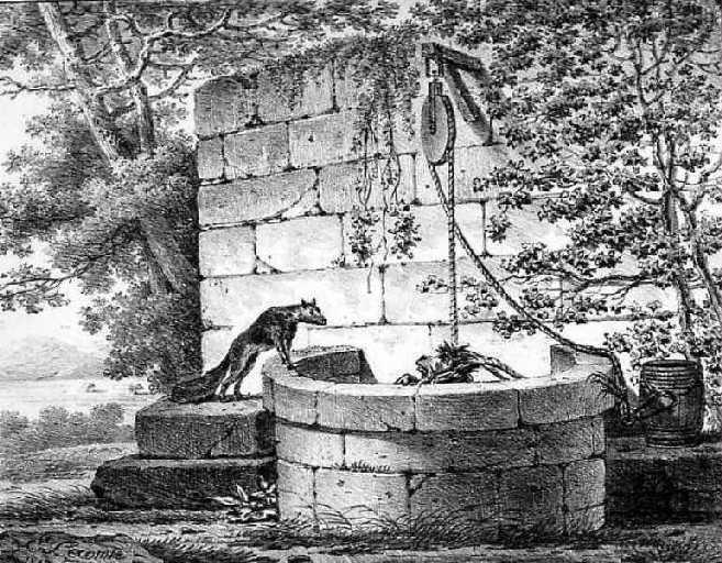 Le Renard et le Bouc, III, 5