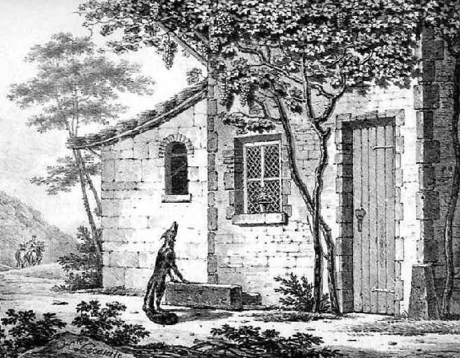 Le Renard et les Raisins, III, 11