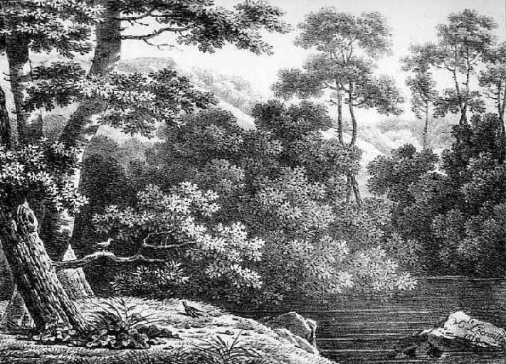 Philomèle et Progné, III, 15