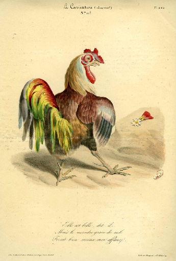 Le Coq et la Perle, I, 20