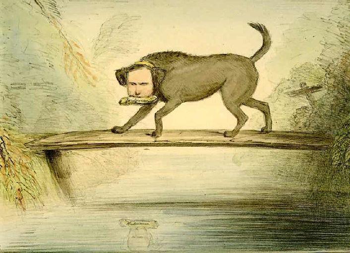 The Dog and the Shadow ; Le Chien qui lâche sa proie pour l'ombre, VI, 17