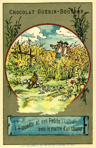 L'Alouette et ses Petits avec le Maître d'un Champ (Le texte de la fable est reproduit au revers)