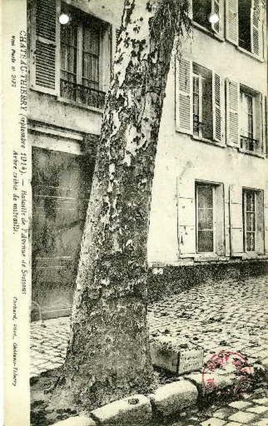 Château-Thierry - arbre criblé de mitraille