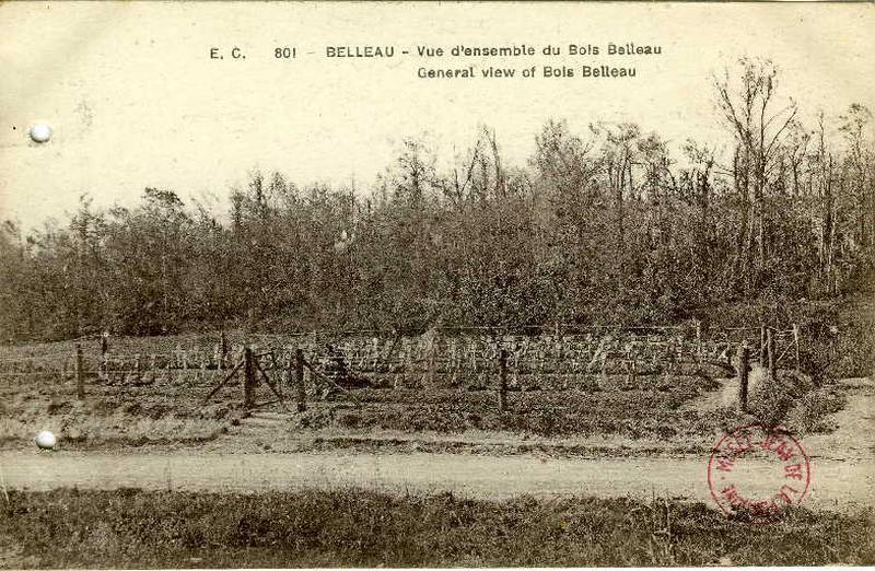 Belleau - Vue d'ensemble du Bois de Belleau
