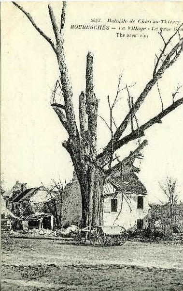 Bouresches - Le village - le gros Orme
