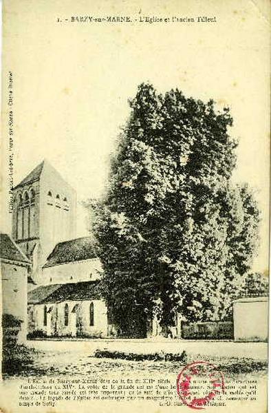 Barzy-sur-Marne - L'église et l'ancien Tilleul