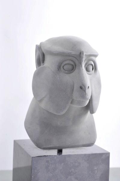 Tête de singe patas