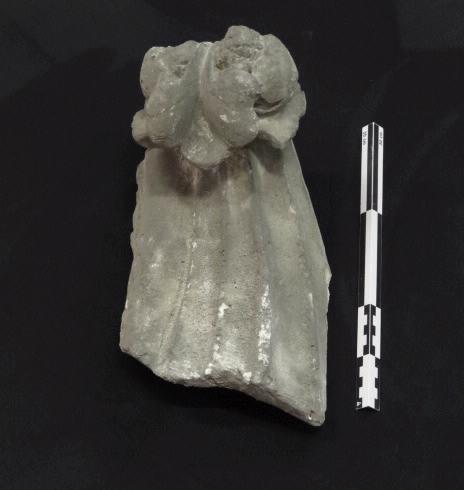 Moulage d'un motif de feuille à crochet