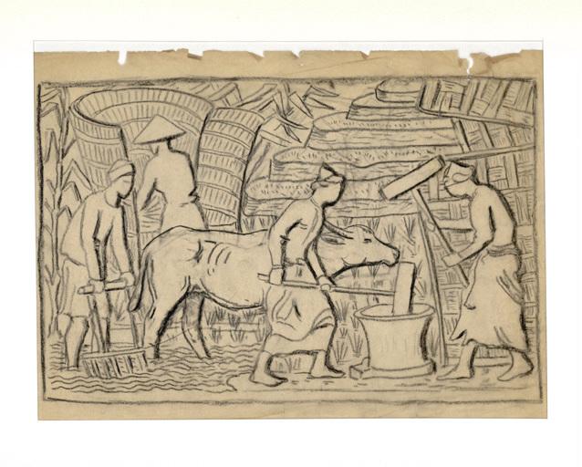 La récolte du riz en Indochine