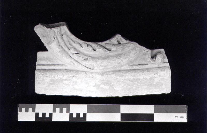 Feuilles aux découpe dentelées