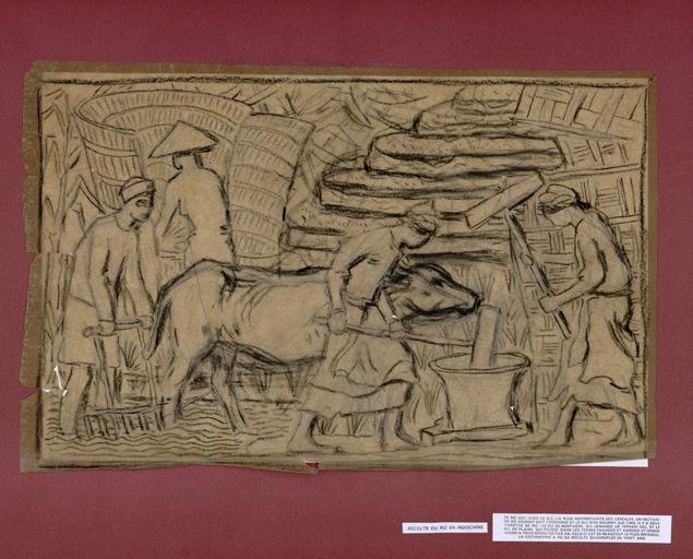 La récolte du riz en Indochine