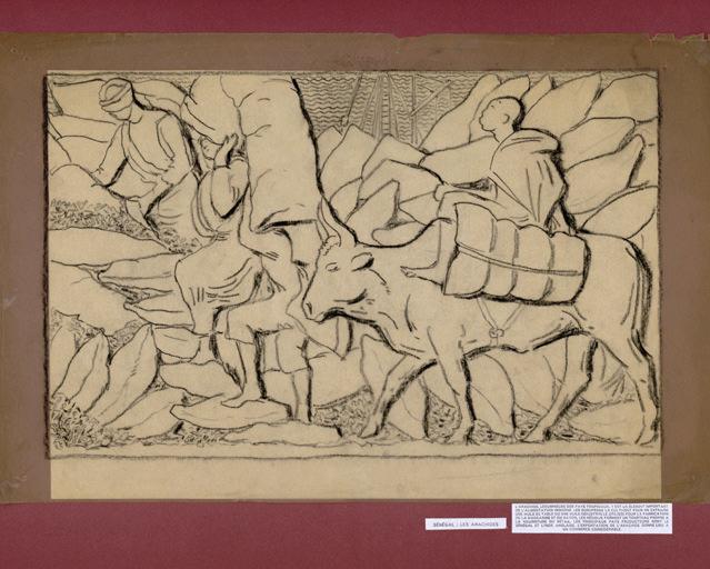 Sénégal : les arachides