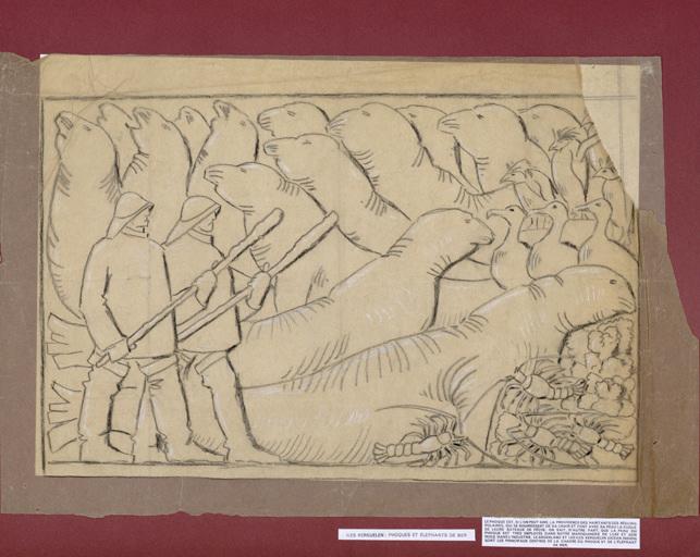 Iles Kerguelen : phoques et éléphants de mer