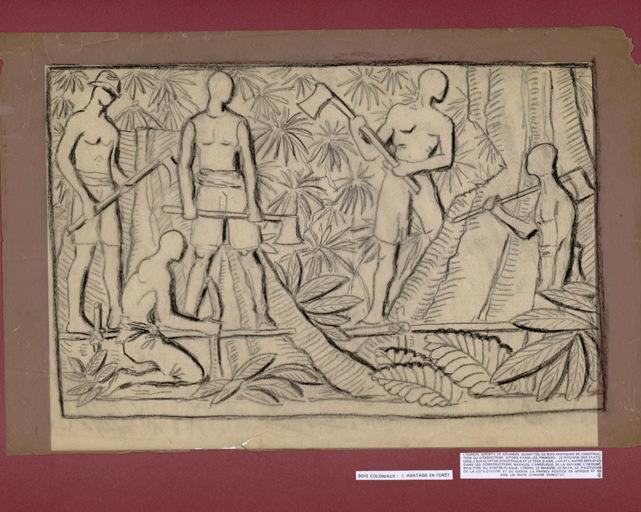 Bois coloniaux : I. Abattage en forêt