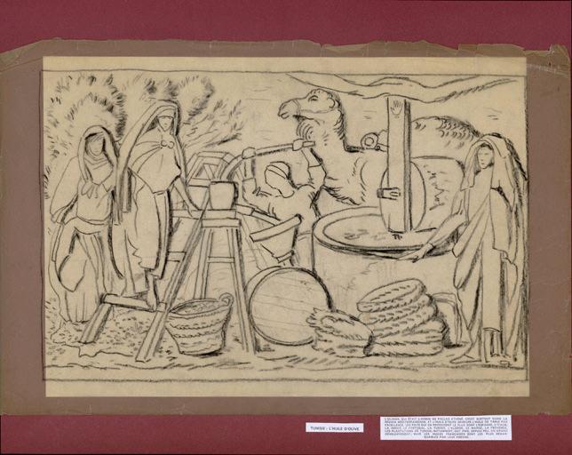 Tunisie : l'huile d'olive