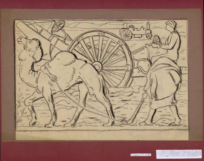 Le labourage en Algérie