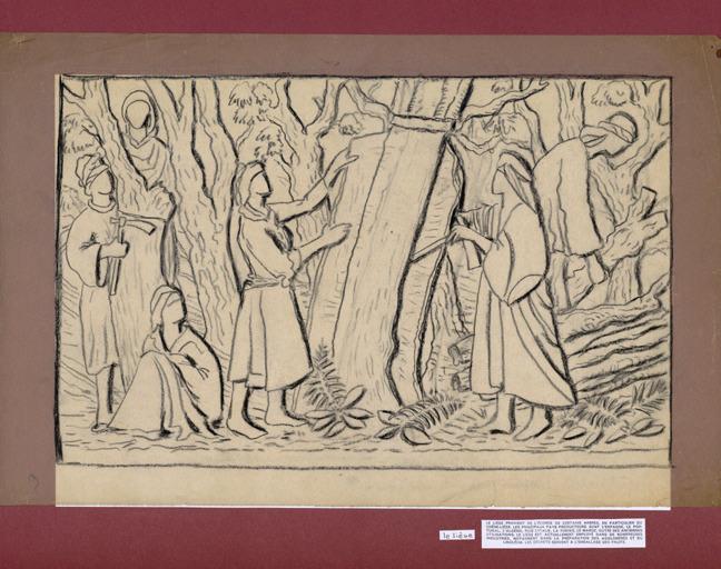 Algérie : récolte du liège