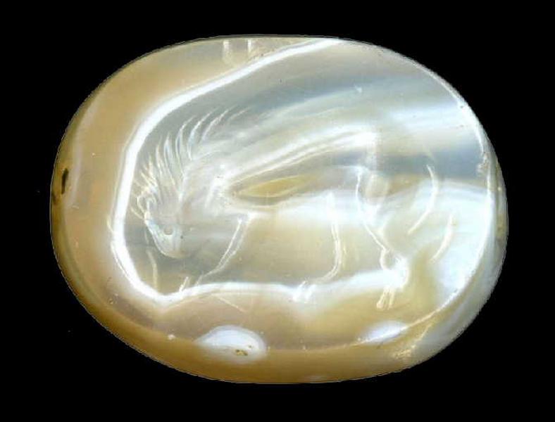 Lion ou un griffon dévorant une patte