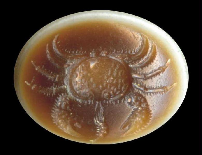 Crabe
