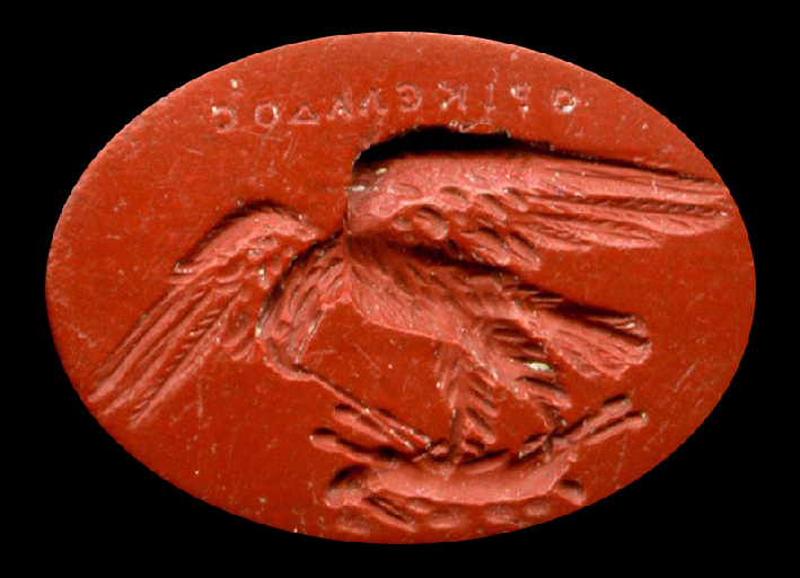 Aigle éviscérant un lièvre