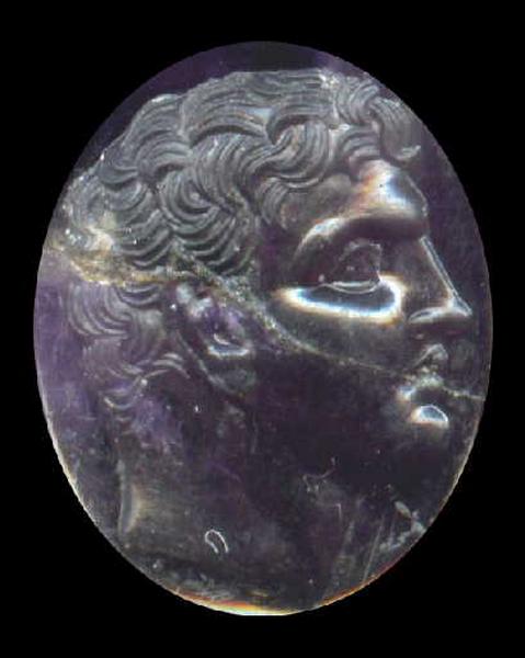 Tête masculine imberbe