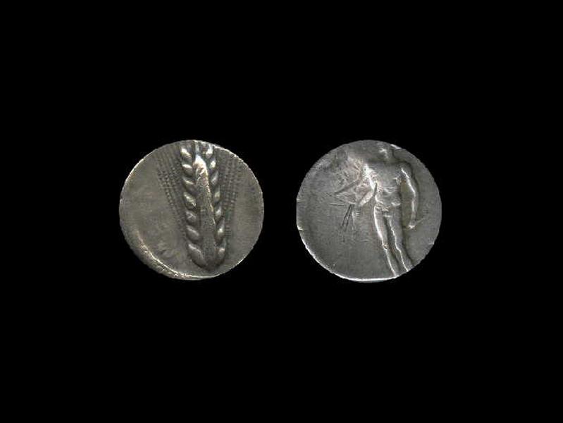 Didrachme de Metaponte
