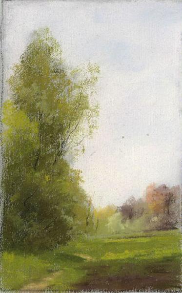 Paysage : Espace herbeux bordé d'arbres (titre factice)