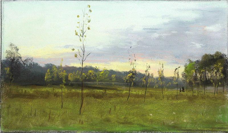 Paysage : Pâture plantée d'arbustes (titre factice)