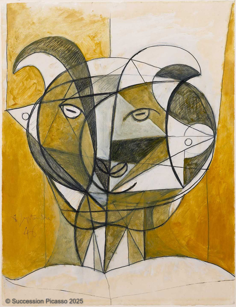 Tête de faune gris
