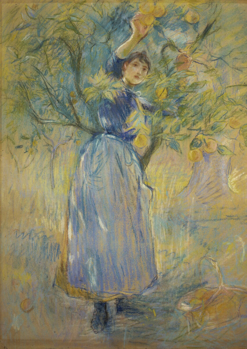 La cueillette des oranges à Cimiez - (Nice) (titre récent) ; La cueillette des oranges (titre ancien)