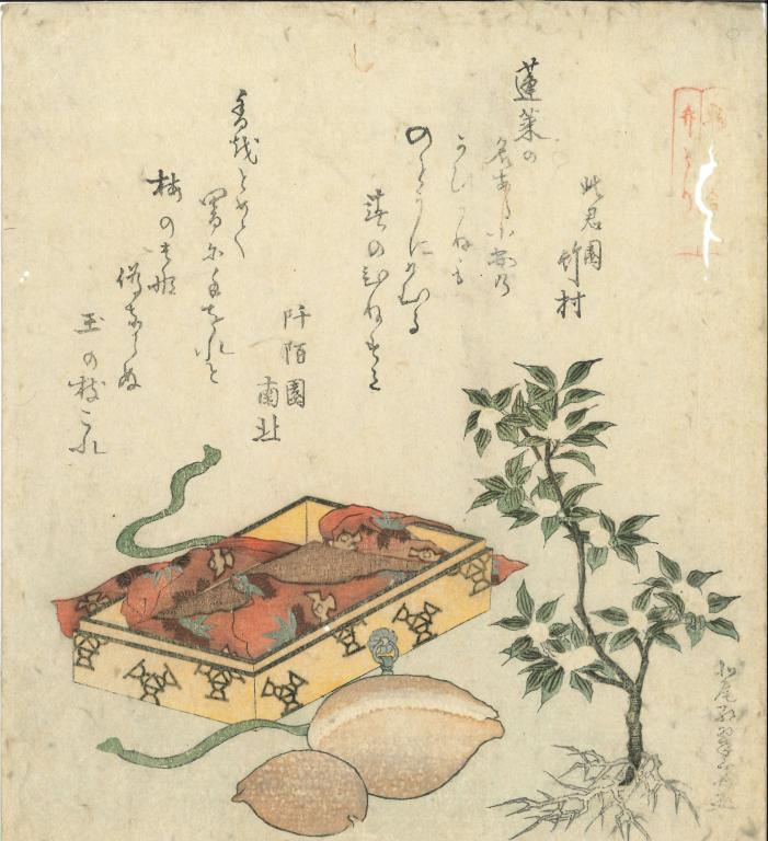 Conte du récolteur de bambou (Princesse Kaguya)