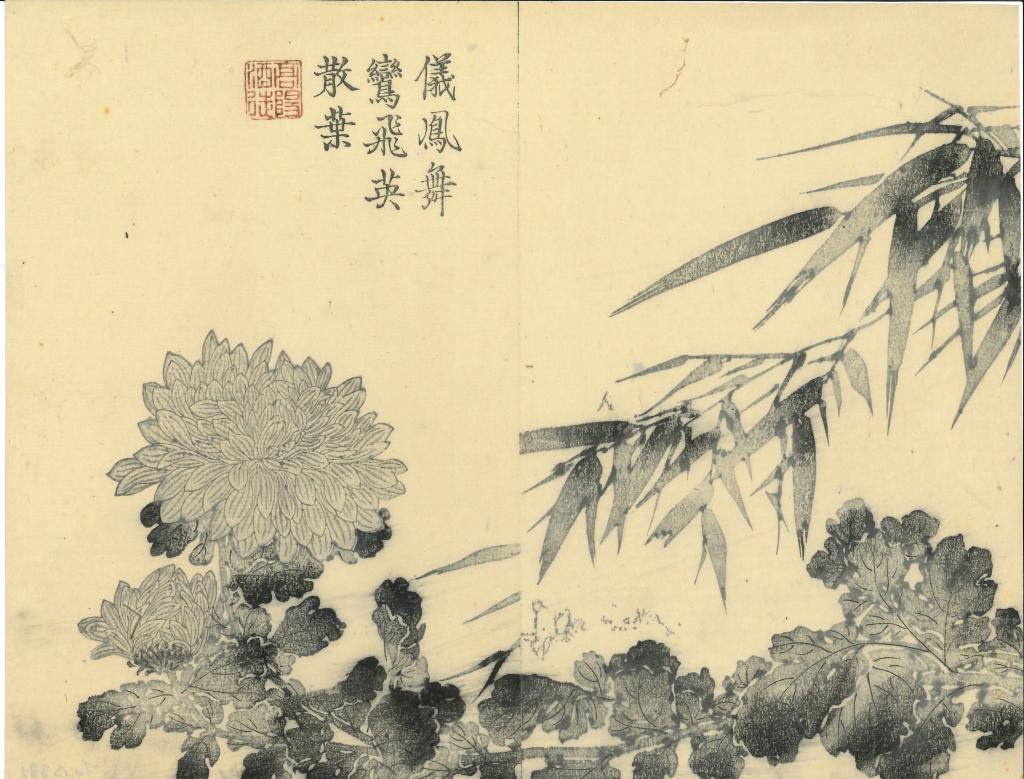 Chrysanthèmes, Volume 2 sur 4