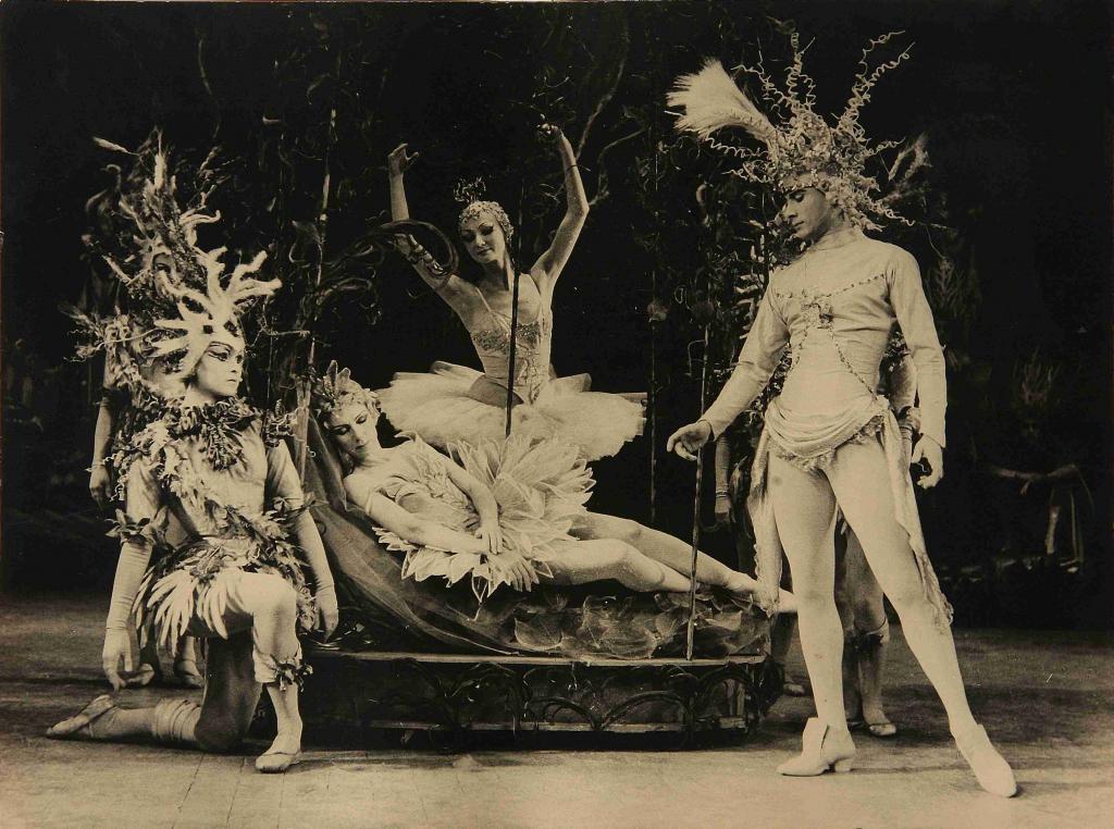 Photographie Ballet La Belle au Bois dormant